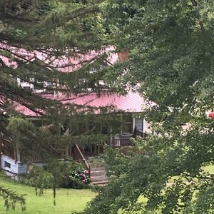 Meet your Posher, Dianne